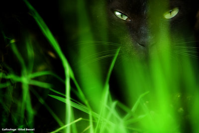 green2
