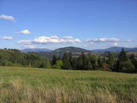 IMG_4776.JPG