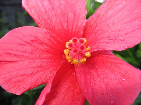 IMG_4615.JPG